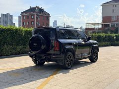 Fangchengbao Leopard 5 2023 Yunni Flagship Edition - фото 19
