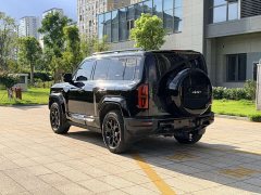 Fangchengbao Leopard 5 2023 Yunni Flagship Edition - фото 20