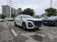 Hongqi HS5 2023 2.0T 4WD Qiling Pro Edition - фото 3