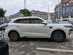 Hongqi HS5 2023 2.0T 4WD Qiling Pro Edition - фото 4