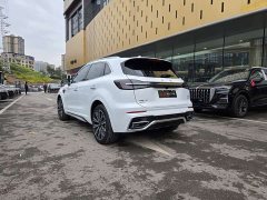 Hongqi HS5 2023 2.0T 4WD Qiling Pro Edition - фото 6