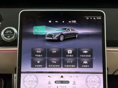 Maybach S-Class S 480 4MATIC - фото 16