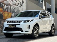 Lexus Discovery Sport Performance Technology Edition - фото 1