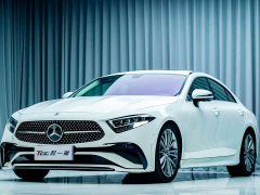 Mercedes-Benz CLS 300 Dynamic - фото 1
