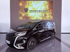 Denza D9 2024 DM-i 980 four-wheel drive premium - фото 1