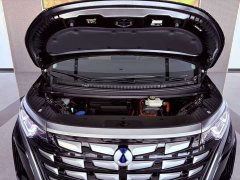 Denza D9 2024 DM-i 980 four-wheel drive premium - фото 10