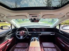 Hongqi E-HS9 2021 Qixian Edition 6-Seater - фото 19