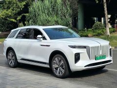 Hongqi E-HS9 2021 Qixian Edition 6-Seater - фото 3