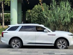 Hongqi E-HS9 2021 Qixian Edition 6-Seater - фото 4