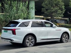 Hongqi E-HS9 2021 Qixian Edition 6-Seater - фото 5