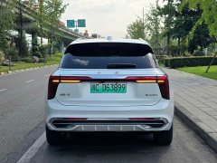 Hongqi E-HS9 2021 Qixian Edition 6-Seater - фото 6