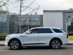 Hongqi E-HS9 2021 Qixian Edition 6-Seater - фото 8