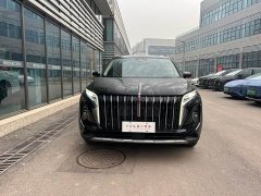 Hongqi HS7 PHEV 2.0T PHEV four-wheel drive Qichang version 6 seats - фото 2