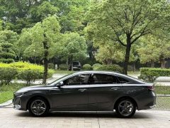 Ruicheng PLUS 1.5T DCT premium - фото 10