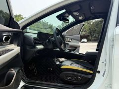 Trumpchi Shadow Leopard 270T DCT J16 version - фото 4