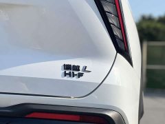 Geely Boyue L 1.5TD Thor Hi F Super Rui - фото 14