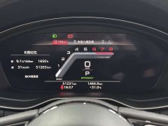 Audi A4L 40 TFSI Luxury Dynamic - фото 20