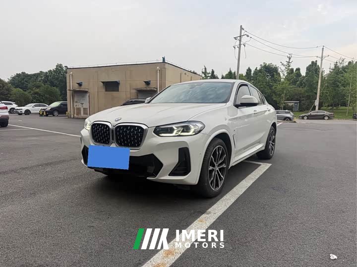 BMW X4 xDrive 30i M Sports Package - автомобиль из Китая