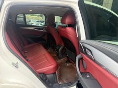 BMW X4 xDrive 30i M Sports Package - фото 6