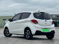 Changan Benben E-Star Qingxin Edition Colorful Edition Lithium Iron Phosphate - фото 2