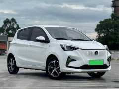 Changan Benben E-Star Qingxin Edition Colorful Edition Lithium Iron Phosphate - фото 3