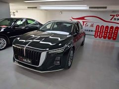 Hongqi H5 2023 1.8T automatic business version - фото 1