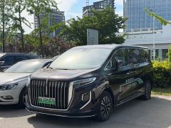 Hongqi HQ9 PHEV 2.0T AWD Business Edition - фото 1
