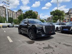Hongqi HS5 2025 2.0T two-wheel drive Qixiang Pro version - фото 2