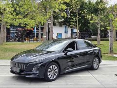 Hongqi E-QM5 basic travel version - фото 1