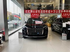 Hongqi HS3 PHEV 2025 117km Jinwei Edition - фото 2