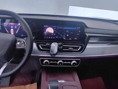 Hongqi HS5 2023 2.0T Qixiang Pro Edition - фото 13