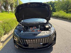 Hongqi E-QM5 basic travel version - фото 6
