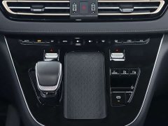Hongqi HQ9 PHEV 2.0T 4WD Luxury Edition - фото 11