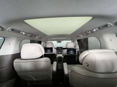 Denza D9 DM-i 970 four-wheel drive flagship - фото 12