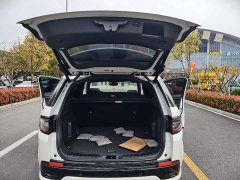 Lexus Discovery Sport 249PS R-Dynamic S Performance Edition 5-seater - фото 12