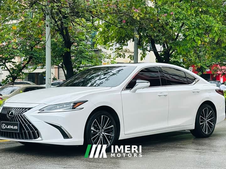 Lexus ES 2022 300h Luxury Edition - автомобиль из Китая