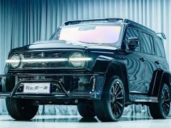 Tank Co-create Tank 300 2023 2.0T Cyber Knight - фото 1
