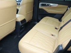 Trumpchi GS8 Pilot Series 2.0TGDI 2WD Luxury Connected Edition 7 Seats - фото 12