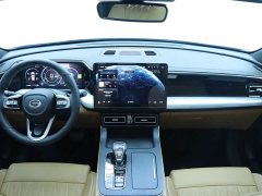 Trumpchi GS8 Pilot Series 2.0TGDI 2WD Luxury Connected Edition 7 Seats - фото 15