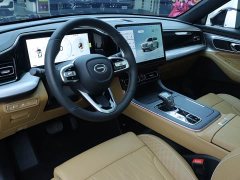 Trumpchi GS8 Pilot Series 2.0TGDI 2WD Luxury Connected Edition 7 Seats - фото 6