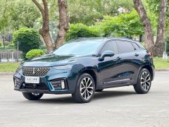 Lexus Wei brand VV7 2020 2.0T super luxury - фото 1