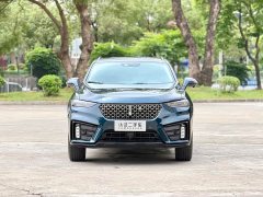 Lexus Wei brand VV7 2020 2.0T super luxury - фото 2