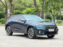 Lexus Wei brand VV7 2020 2.0T super luxury - фото 3