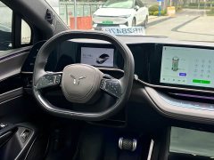 Hongqi EH7 760 Pro four-wheel drive version - фото 6