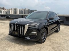 Hongqi HS5 2025 2.0T two-wheel drive Qiyue Pro version - фото 1