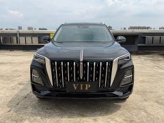 Hongqi HS5 2025 2.0T two-wheel drive Qiyue Pro version - фото 2