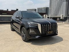 Hongqi HS5 2.0T Qiyue Pro version - фото 3