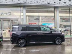 Hongqi HQ9 PHEV 2.0T four-wheel drive luxury version - фото 7