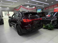 Hongqi HS5 2025 2.0T four-wheel drive Xuanying Edition - фото 8