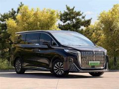 Hongqi HQ9 PHEV 2024 2.0T AWD Business Edition - фото 3